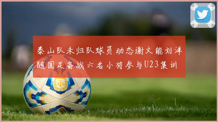 泰山队未归队球员动态谢文能刘洋随国足备战六名小将参与U23集训