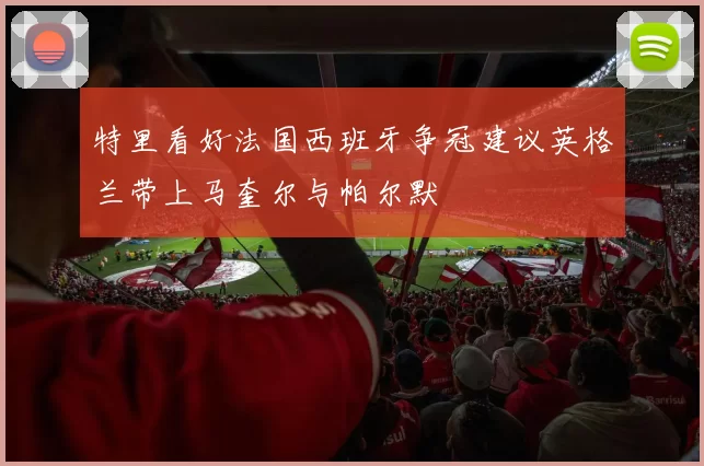 特里看好法国西班牙争冠建议英格兰带上马奎尔与帕尔默